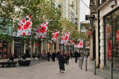 Cardiff street poppies
