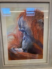 Orangutan and baby by Jenny P