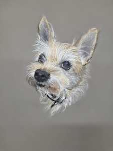 Jenny P Dottie the dog, 15 years old