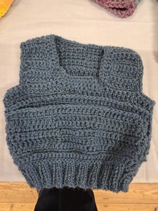 Dexi  Vest for grandson 8 months old